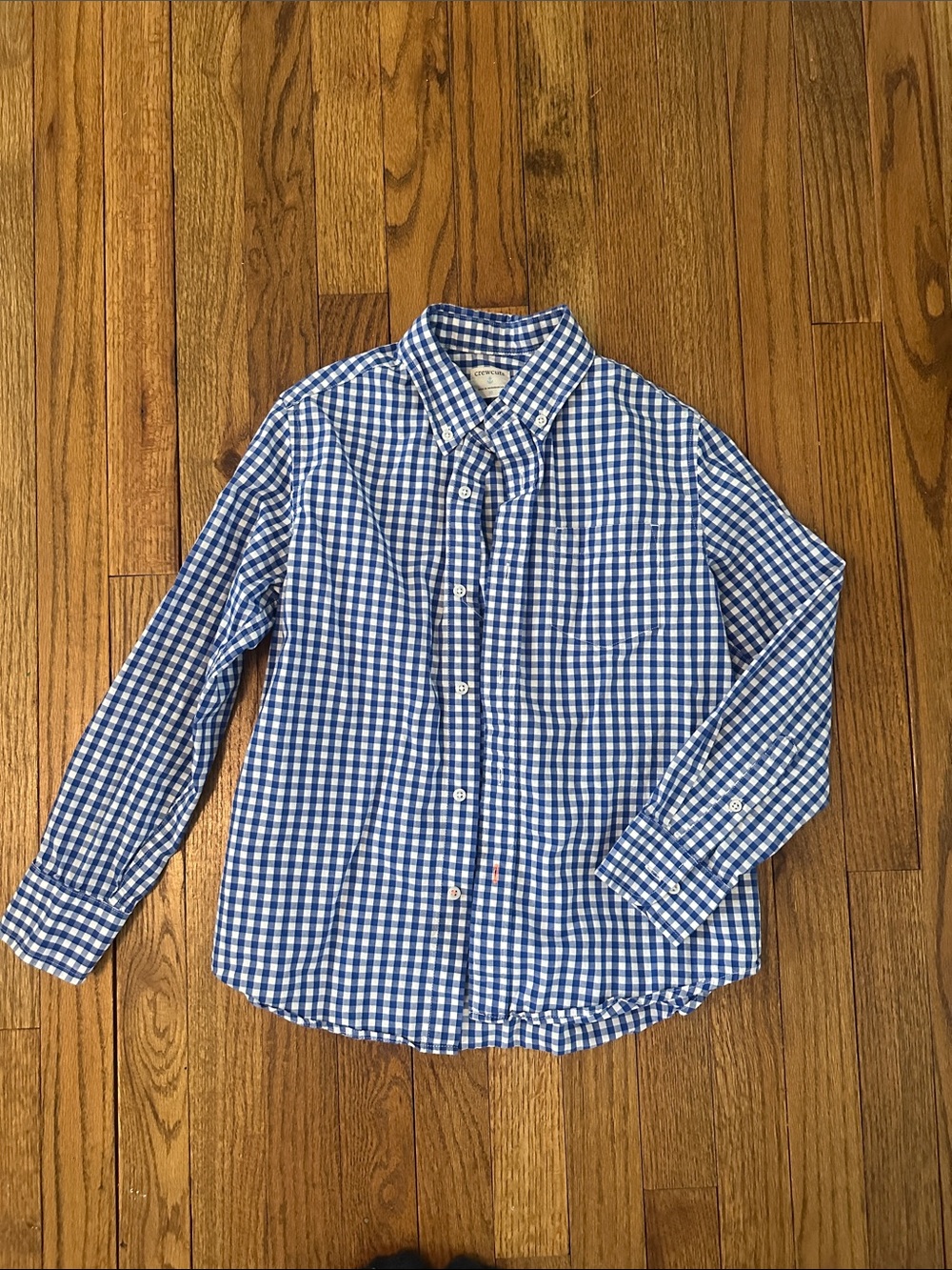 Crewcuts Blue and White Gingham Button-Down Shirt